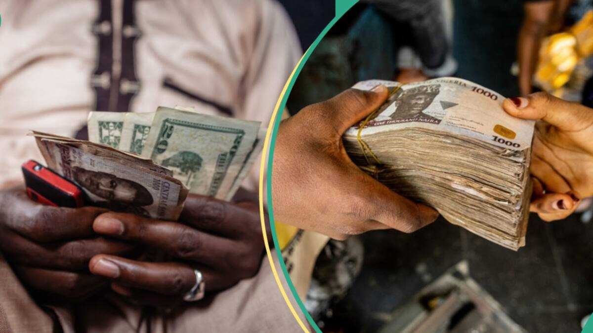 Naira appreciates to N1,337.28 per dollar amid improved liquidity and rising reserves