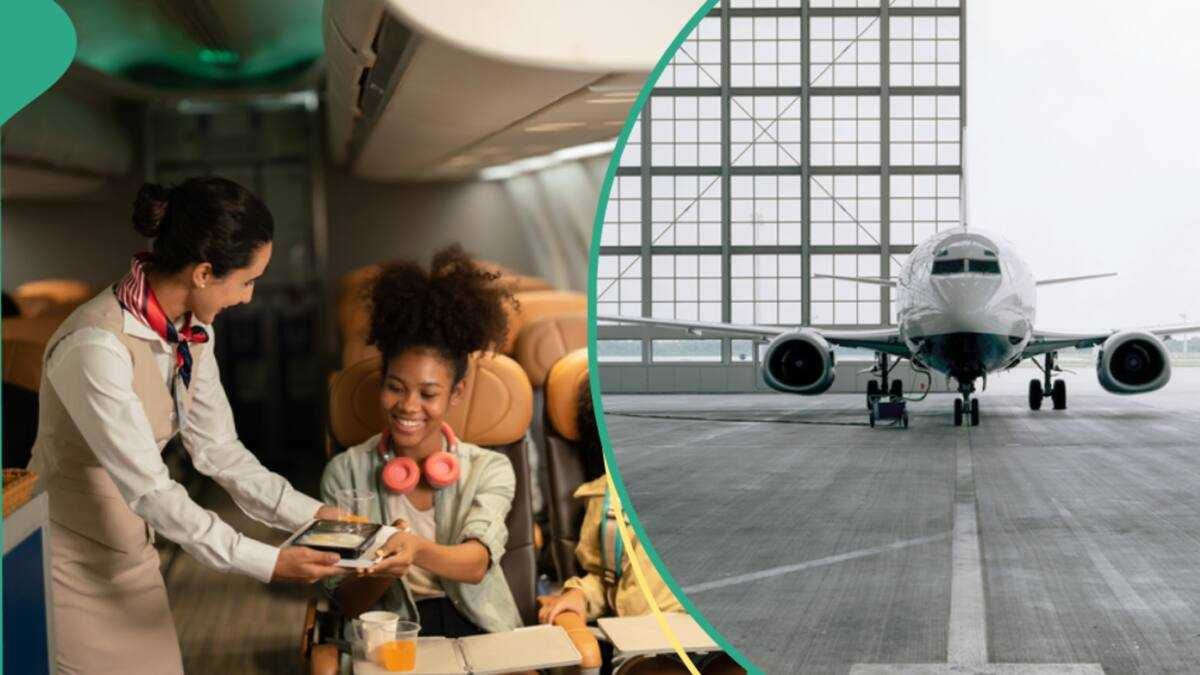 XEJET Airlines halts operations due to ground handlers' service withdrawal over debt