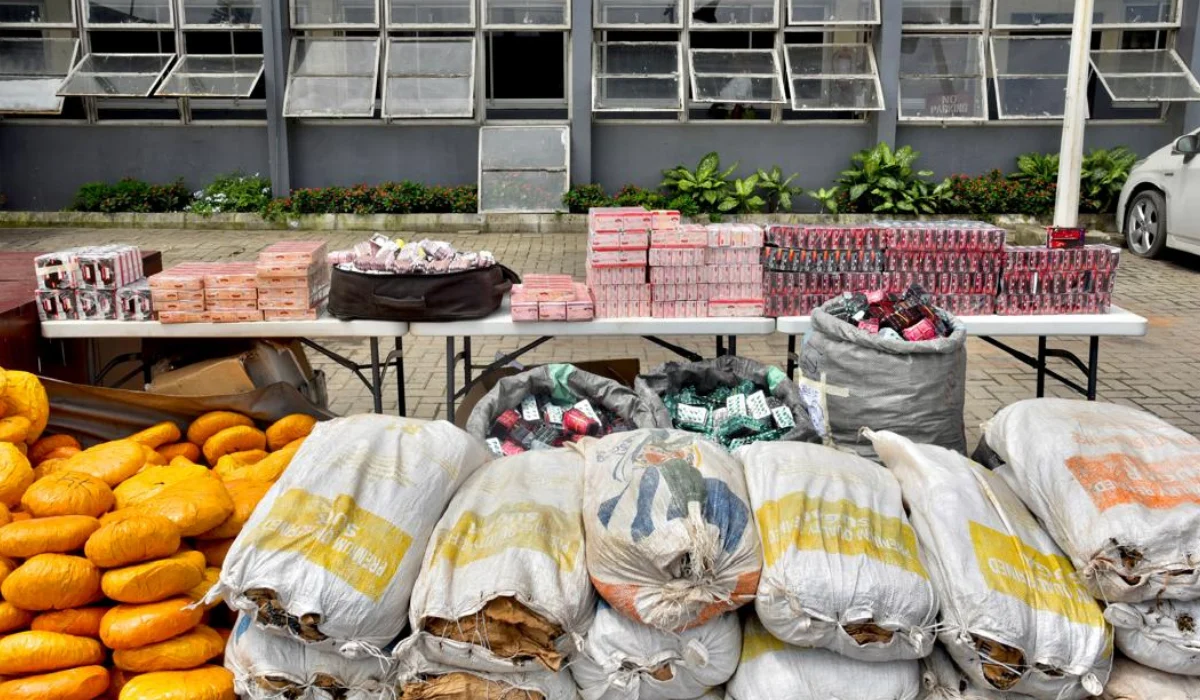 Nigeria Customs seizes N3.9 billion worth of drugs, hands over to NDLEA