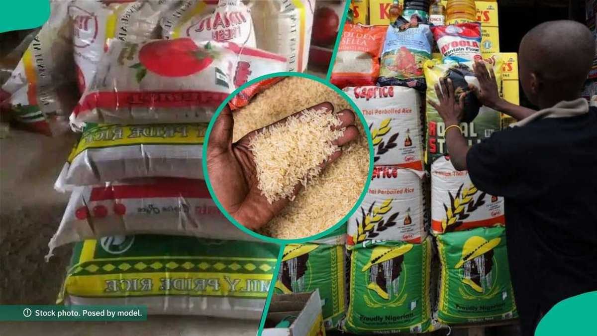 Lagos Rice Prices Fluctuate as Some Brands Drop While Others Surge