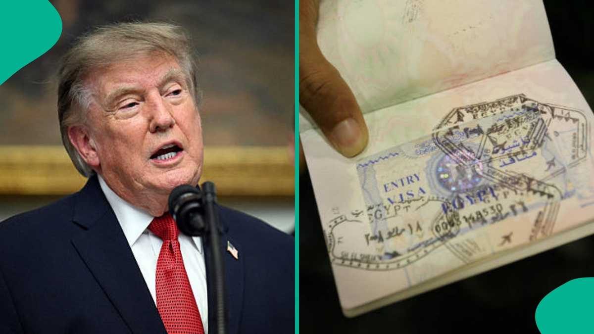 US grants language exemptions for citizenship tests to older immigrants