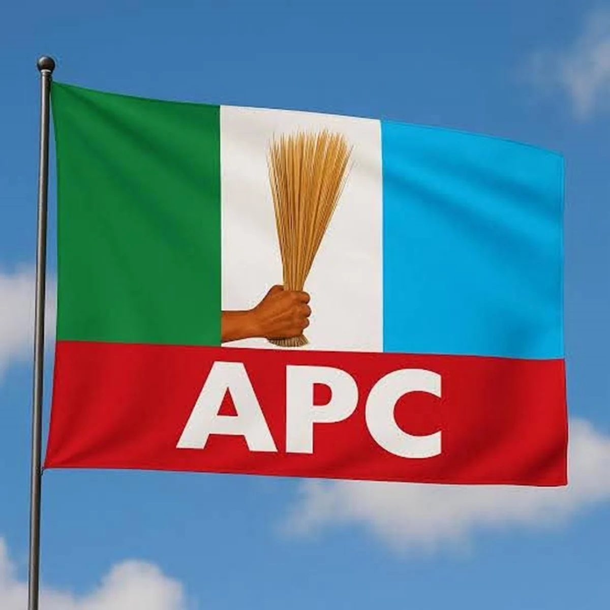 Uncertainty Surrounds Role of Renewed Hope Ambassadors in APC Campaign Council