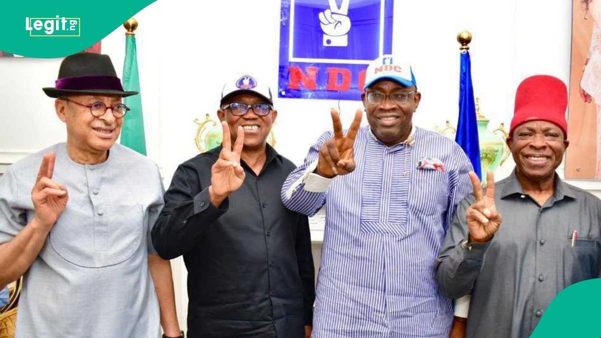 Businessman Pratt Tunde Sues INEC and NDC Over Alleged Candidate Swap
