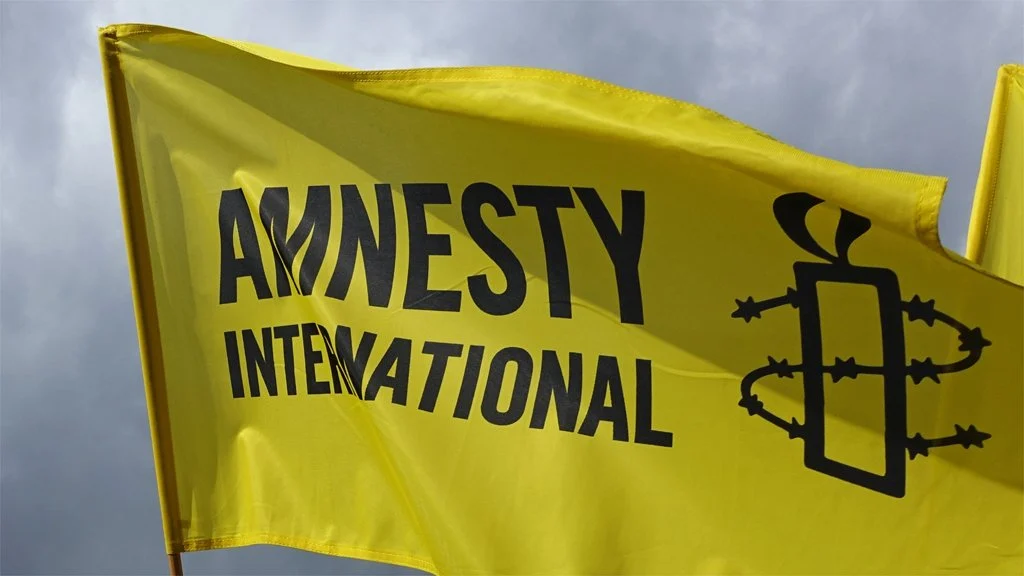 Amnesty International demands inquiry into Borno commissioner’s voter threats