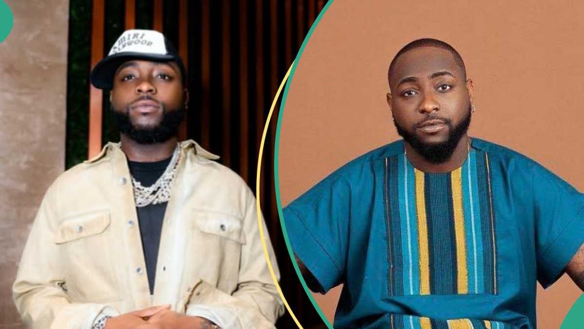 Davido's Onstage Snub of Fan Sparks Mixed Reactions During Live Performance